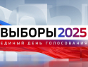 Как в Воронежской области будут работать школы и детские сады в дни выборов