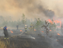 В 8 районах Воронежской области установился чрезвычайный уровень пожарной опасности