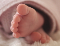 Какие имена дали жители Воронежской области новорождённым в октябре