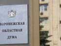 В Воронежской области запустили горячую линию для избирателей