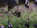 В Воронежской области семилетний ребёнок провалился в колодец