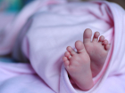 В Воронежской области родилось почти 16 тыс детей в 2024 году