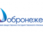 Проекты из Анны, Панино, Таловой и Эртиля стали финалистами конкурса"Добронежец"