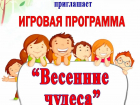 В Таловском районе проведут игровую программу «Весенние чудеса»