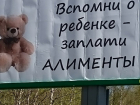  Более 150 000 рублей задолжал своему ребенку житель Панинского района