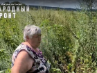 Ядовитые змеи, лисы, джунгли из бурьяна: в селе Садовое Аннинского района  власти забыли о существовании целой улицы