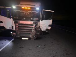 Смертельное ДТП произошло в Панинском районе