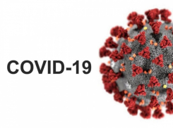 В Воронежской области растёт заболеваемость ковидом