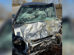 Страшное ДТП в Панинском районе привело к уголовному делу