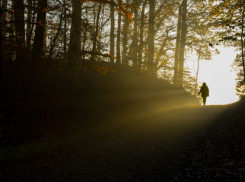 В Воронежской области за неделю двоих пропавших нашли мёртвыми