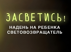Жителей Воронежской области приглашают присоединиться к акции «Засветись»