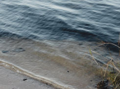 В Таловском районе нашли тело 75-летнего пенсионера