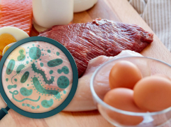 В Воронежской области выросла заболеваемость сальмонеллёзом