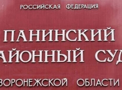 В Панинском районе чиновницу осудили за мошенничество