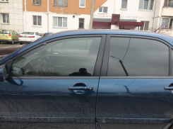 Аннинского автомобилиста арестовали за отказ снять тонировку