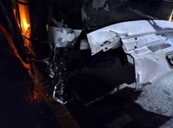 В Воронежской области в 2023 году было зафиксировано 193 ДТП с участием автобусов