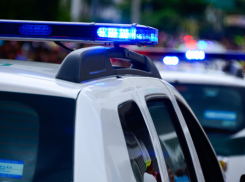 Воронежская Госавтоинспекция изменит график работы в новогодние праздники