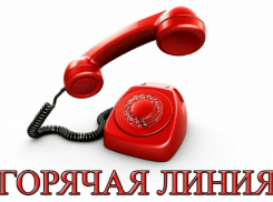 В Воронежской области запустили горячую линию по вопросам профилактики ВИЧ