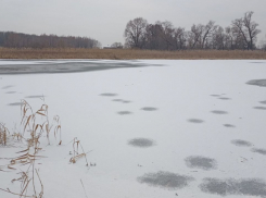 В Воронежской области двое детей провалились под лед и утонули