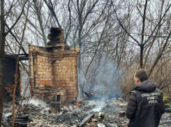 В Панинском районе в пожаре погибли два человека