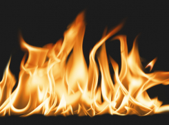 9 марта в Воронежской области произошло 30 ландшафтных пожаров