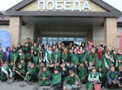 В Панино 200 школьников приняли участие в экологической акции «Лесу – быть!»