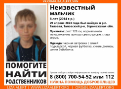 Найденного в Таловой мальчика отправят в детский дом