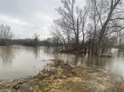 В преддверии половодья Росприроднадзор проведёт проверки в районах Воронежской области