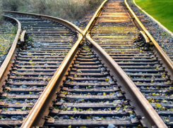 Школьники Воронежской области получат скидку в 50% на железнодорожные билеты