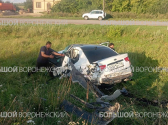 В Панинском районе Kia столкнулась с тепловозом
