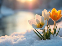 Синоптики пообещали аномально тёплый март в Воронежской области