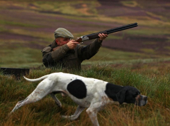 В Панинском и Новоусманском районах запретили охоту