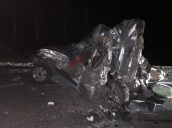 Пенсионеру МВД ужесточили наказание за пьяное ДТП с 5 погибшими в Панинском районе