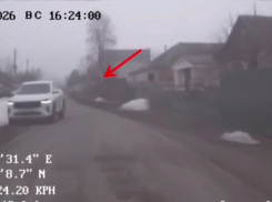 В Панинском районе пьяный водитель пытался уехать от полицейских