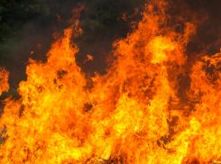 В Воронежской области установился пятый класс пожарной опасности