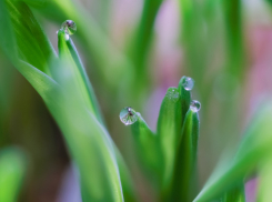 В Воронежскую область нагрянет потепление до +17 градусов