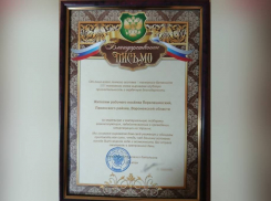 Жители поселка Перелешинский Панинского района получили благодарственное письмо от бойцов СВО