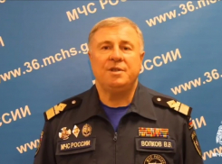 В МЧС обратились к жителям Воронежской области после гибели ребёнка на реке