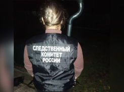 В Таловском районе сосед по даче убил и изнасиловал помощницу воронежского депутата