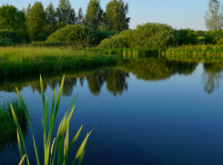 Экологи исследуют качество воды в 11 воронежских водоёмах