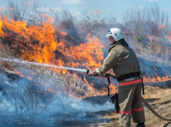 В Воронежской области ввели V класс пожарной опасности для 19 районов