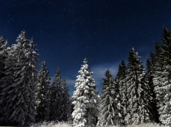 В Воронежской области в середине октября ожидается первый снег
