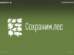 В Воронежской области проходит акция «Сохраним лес»