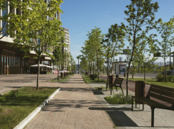 Жителям Воронежской области назвали места для благоустройства в 2026 году