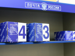 Жители Воронежской области могу отправлять бесплатные посылки в зону СВО