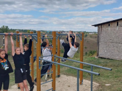 В Боброве активисты установили спорткомплекс для занятий воркаутом