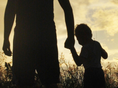 В Воронежской области в декрет ушли более 1,4 тыс. пап