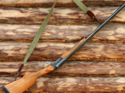 В двух районах Воронежской области запретят охоту на два года