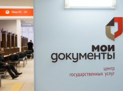 Воронежцам опубликовали график работы отделений ГИБДД и МФЦ в праздники