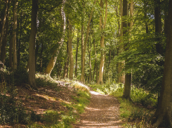 В Воронежской области отменили особый противопожарный режим